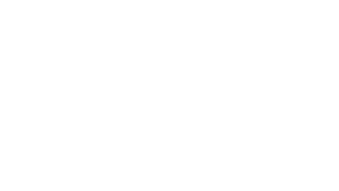 BX23S Series Spring it on